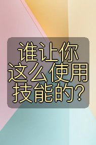 谁让你这么使用技能的?封面