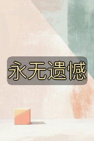 永无遗憾封面