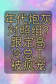 年代炮灰对照组?跟定高冷总工被疯宠封面