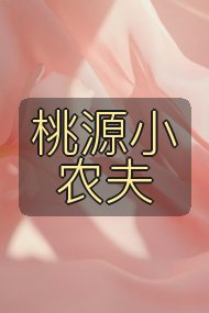 桃源小农夫封面